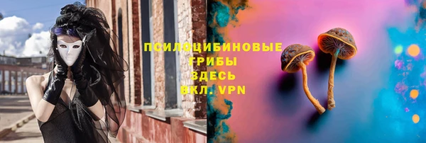 ешки Костерёво