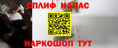 прущие грибы Канаш