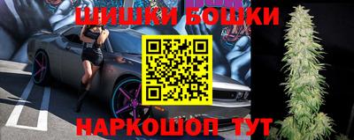 прущие грибы Канаш