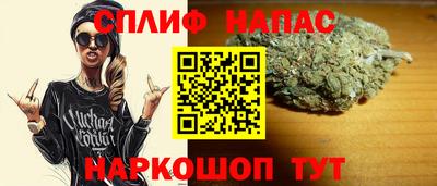 прущие грибы Канаш