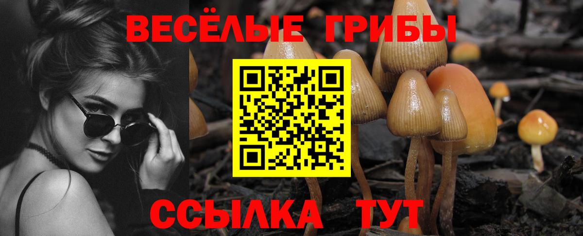 Галлюциногенные грибы GOLDEN TEACHER Ханты-Мансийск